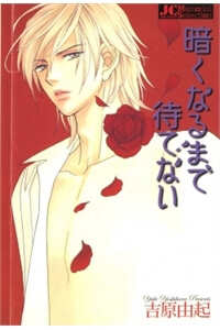 Kuraku Naru Made Matteinai (Không Thể Đợi Đến Đêm Tối)